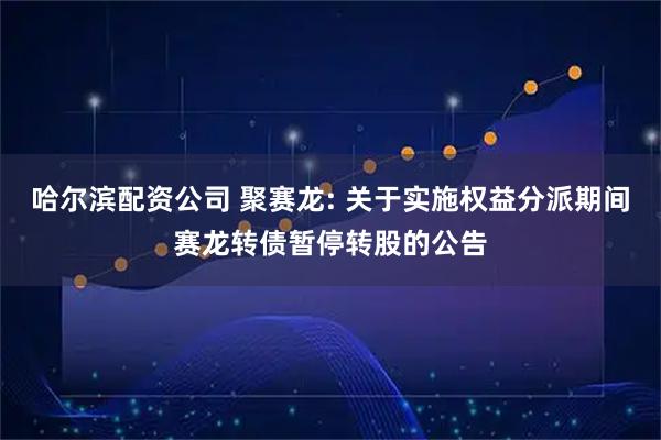 哈尔滨配资公司 聚赛龙: 关于实施权益分派期间赛龙转债暂停转股的公告