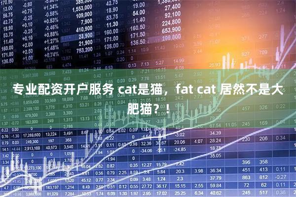 专业配资开户服务 cat是猫，fat cat 居然不是大肥猫？!